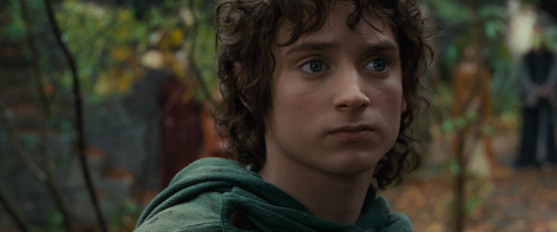 The Lord of the Rings: The Fellowship of the Ring (2001) movie still 12850