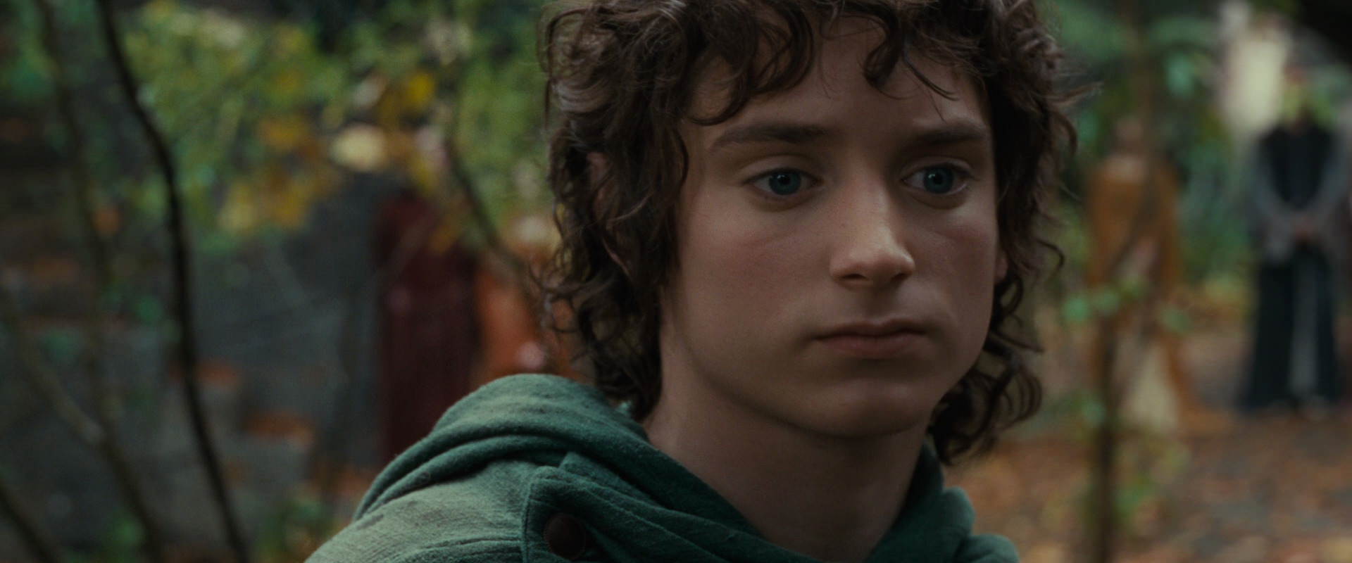 The Lord of the Rings: The Fellowship of the Ring (2001) HD screenshot 12851
