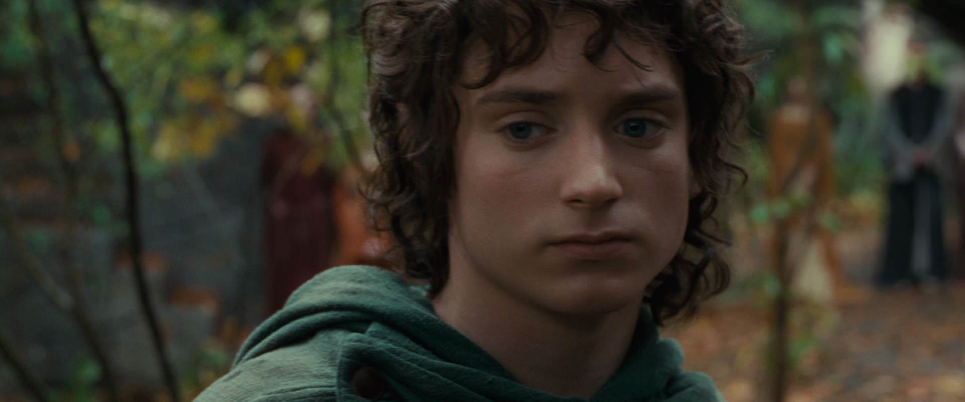 The Lord of the Rings: The Fellowship of the Ring (2001) screencap 12852