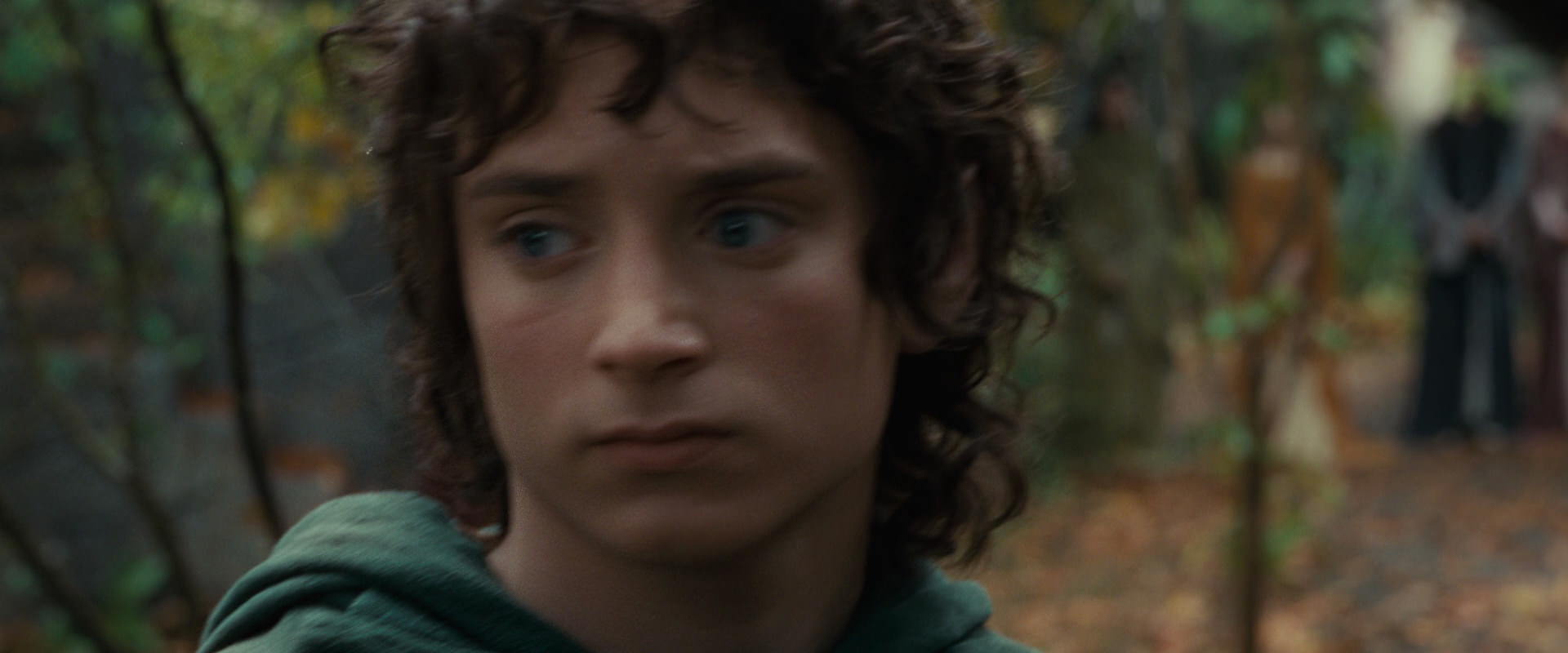 The Lord of the Rings: The Fellowship of the Ring (2001) movie still 12853