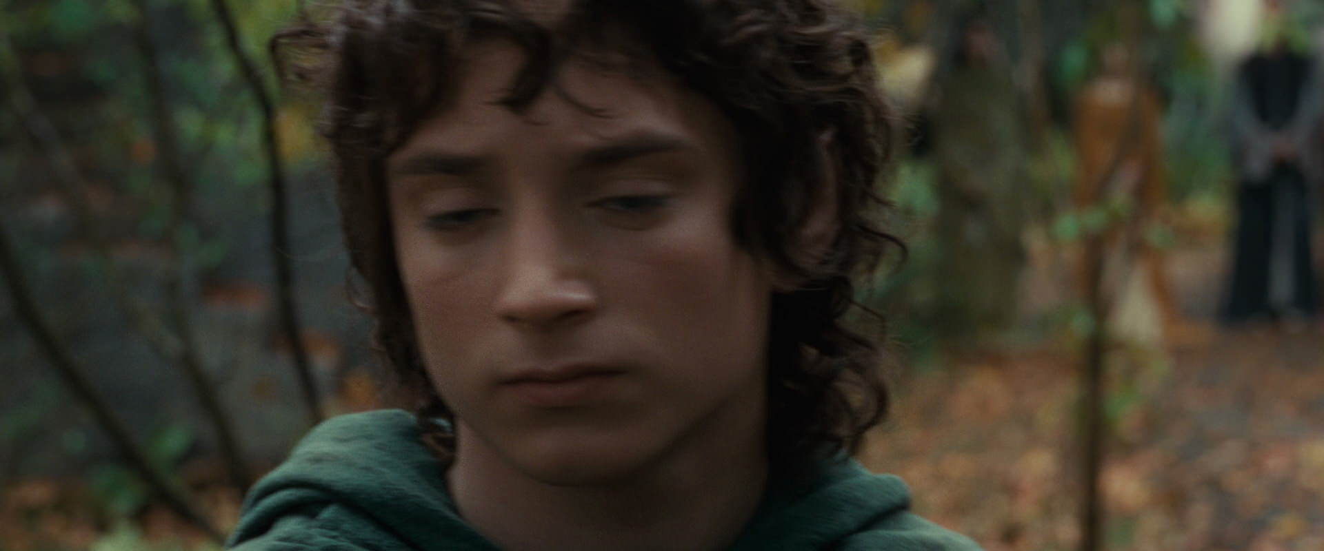The Lord of the Rings: The Fellowship of the Ring (2001) HD screenshot 12854