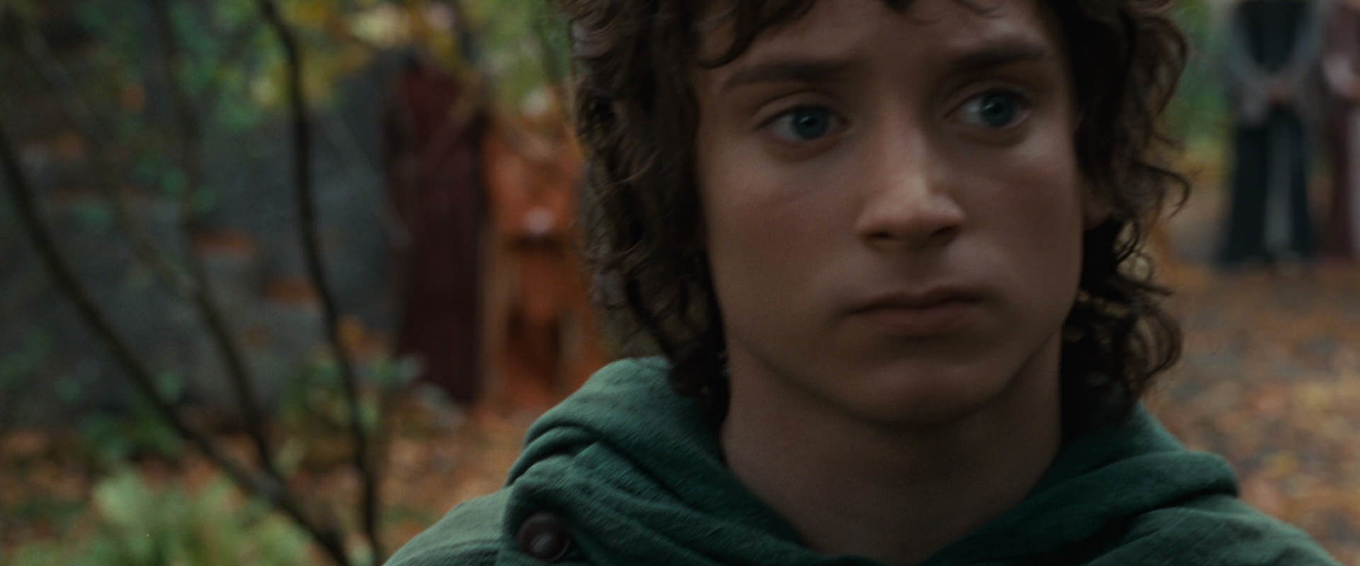 The Lord of the Rings: The Fellowship of the Ring (2001) screencap 12855