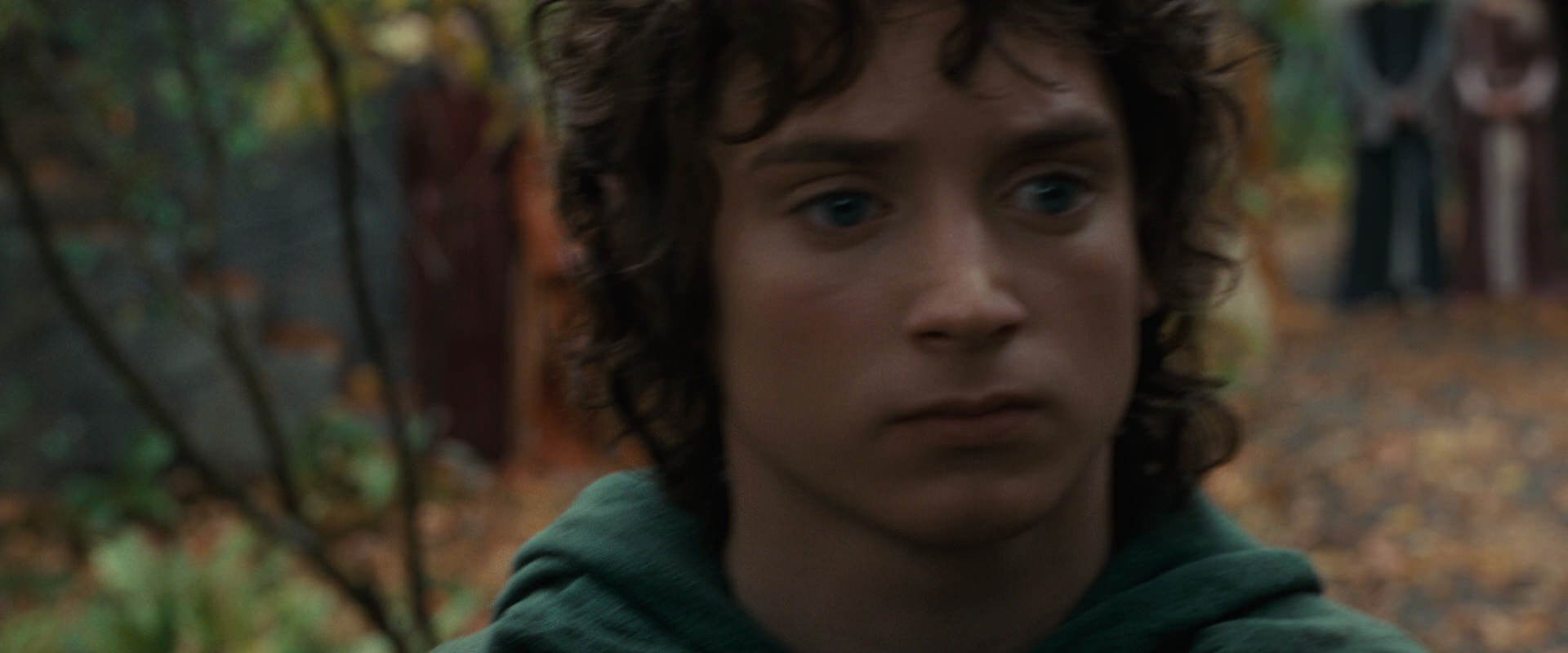The Lord of the Rings: The Fellowship of the Ring (2001) movie still 12856