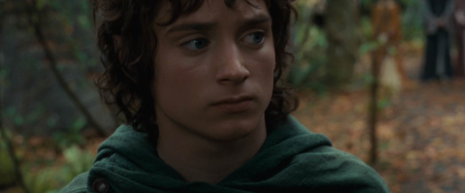 The Lord of the Rings: The Fellowship of the Ring (2001) HD screenshot 12857