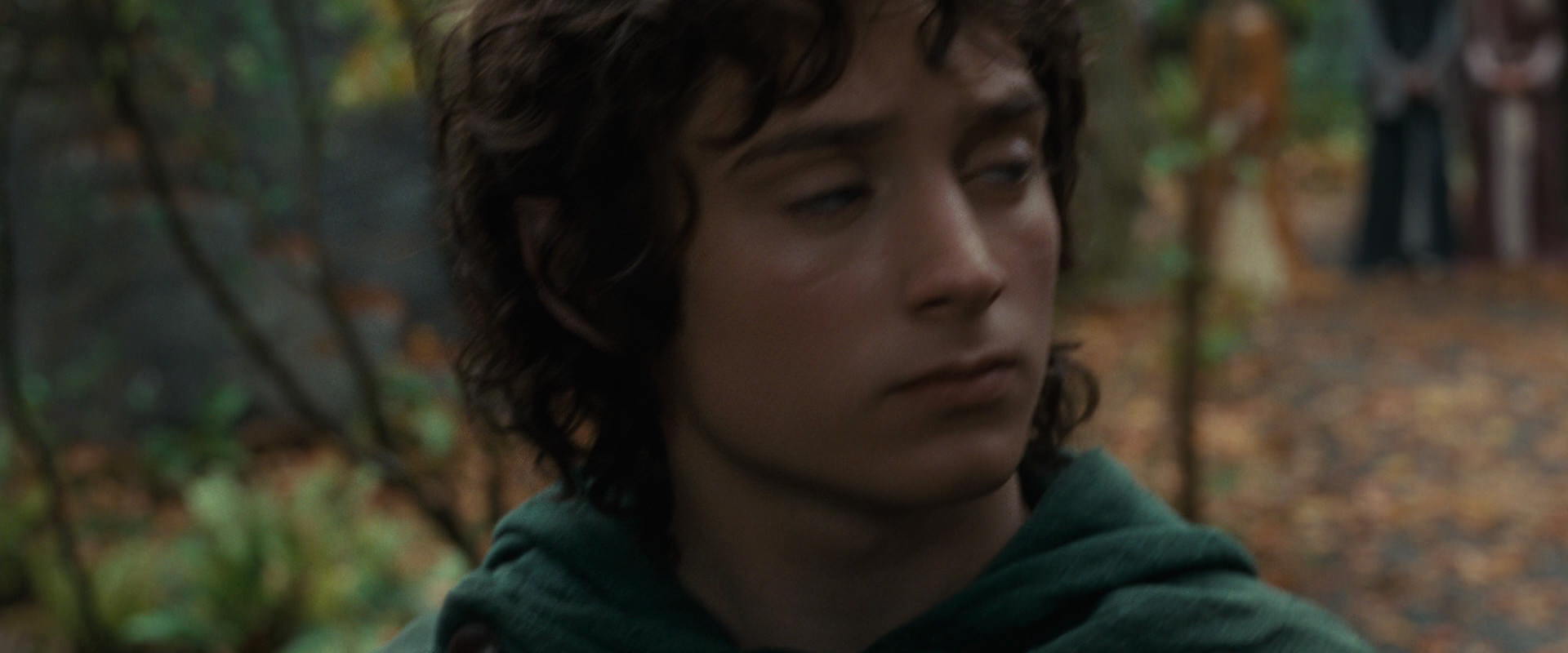The Lord of the Rings: The Fellowship of the Ring (2001) screencap 12858