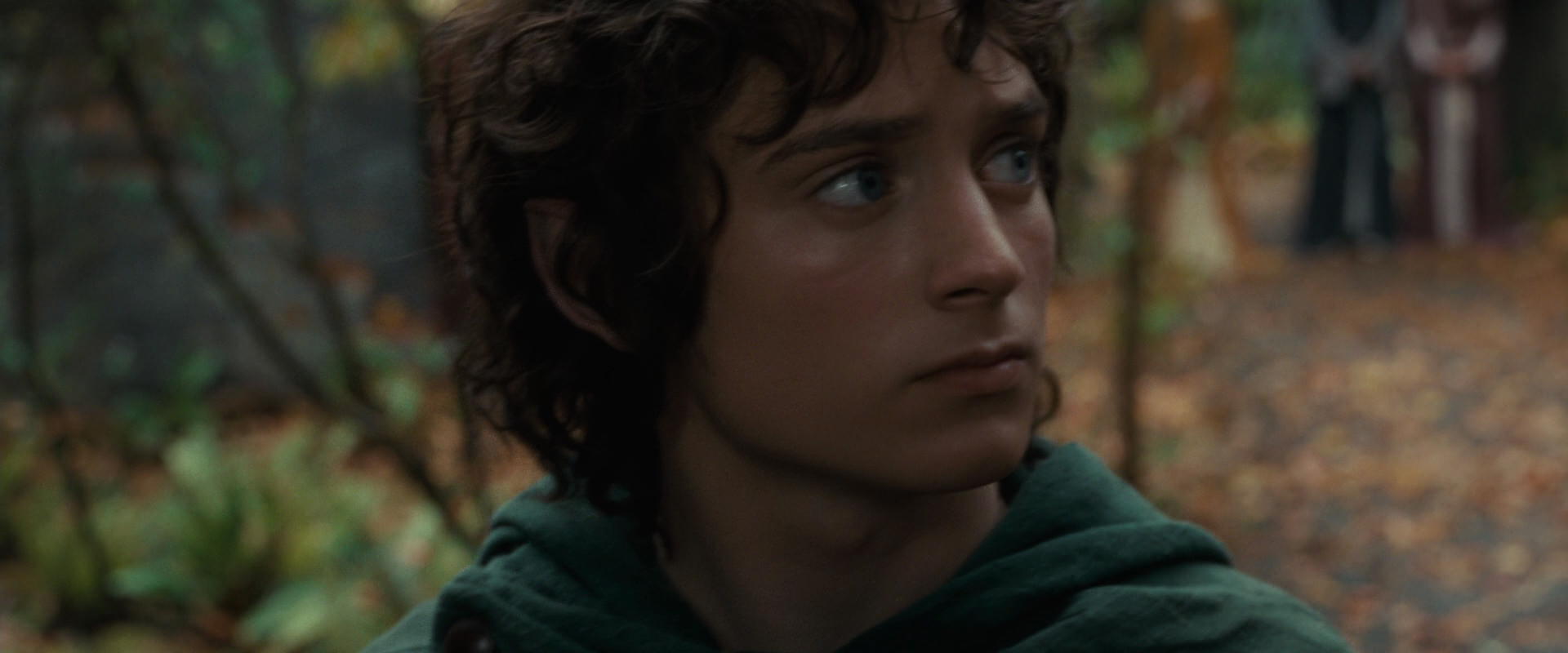 The Lord of the Rings: The Fellowship of the Ring (2001) movie still 12859