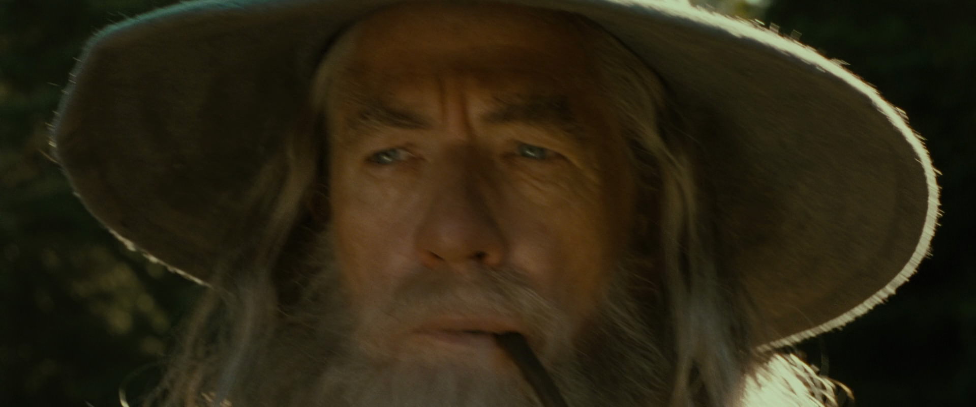 The Lord of the Rings: The Fellowship of the Ring (2001) HD screenshot 1286