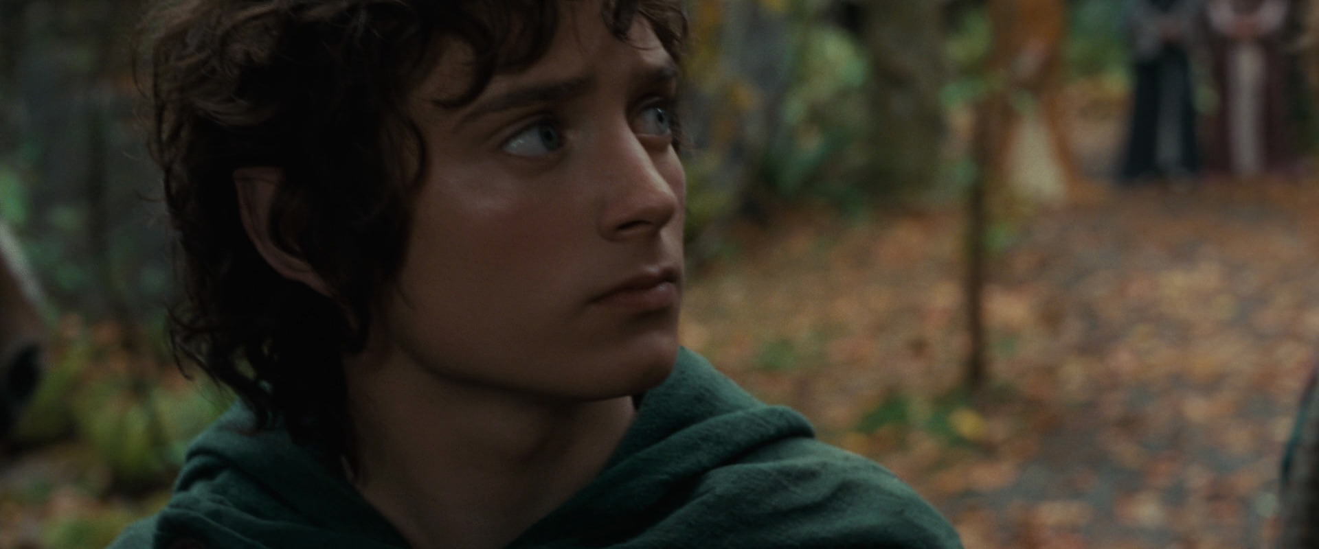 The Lord of the Rings: The Fellowship of the Ring (2001) HD screenshot 12860