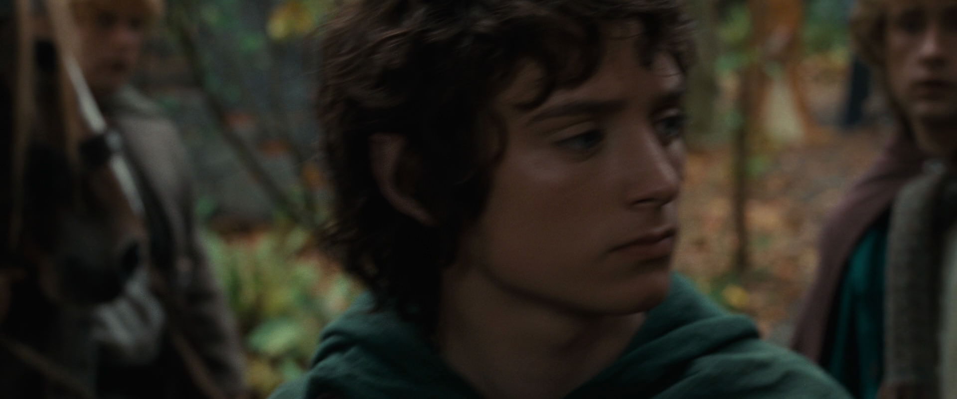 The Lord of the Rings: The Fellowship of the Ring (2001) screencap 12861