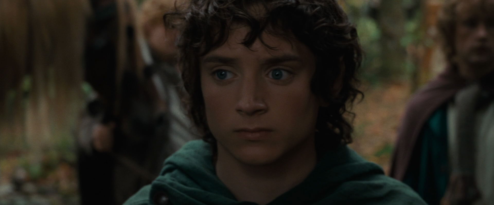 The Lord of the Rings: The Fellowship of the Ring (2001) HD screenshot 12863