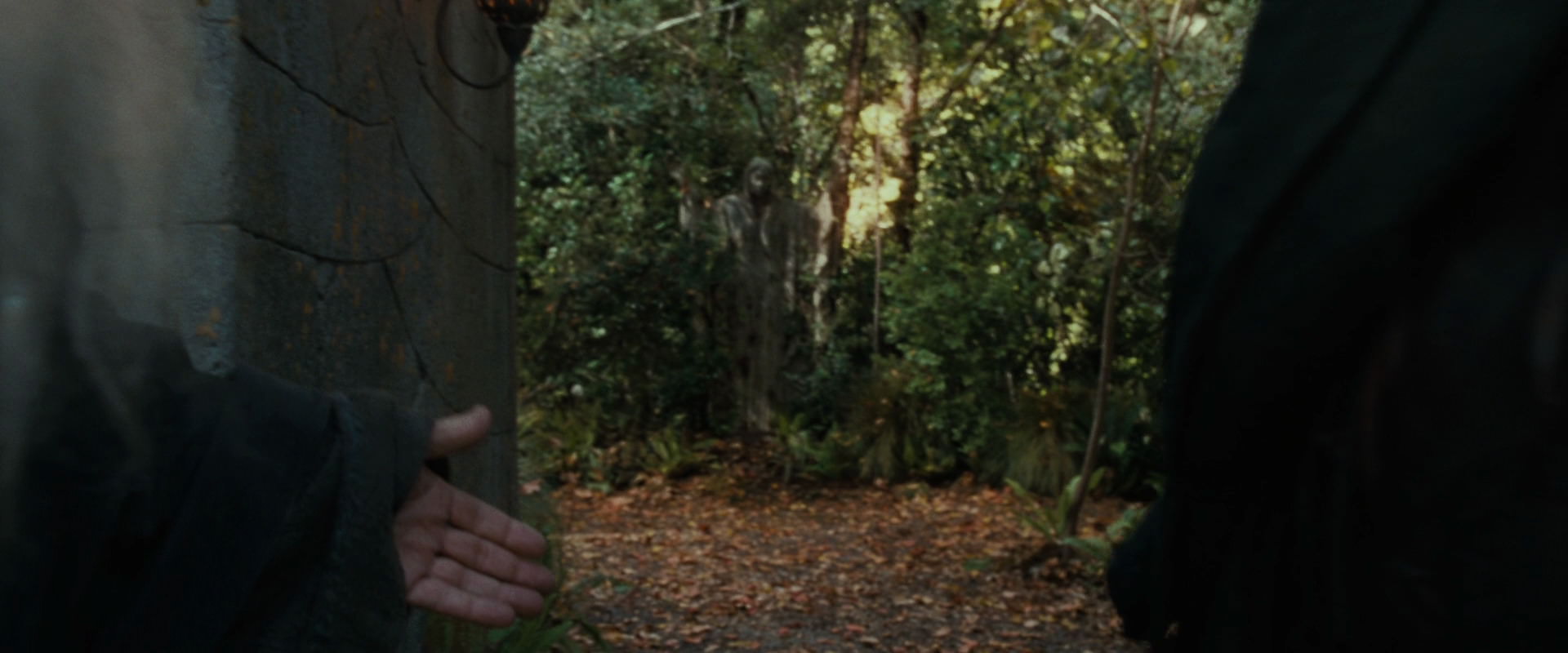 The Lord of the Rings: The Fellowship of the Ring (2001) screencap 12864