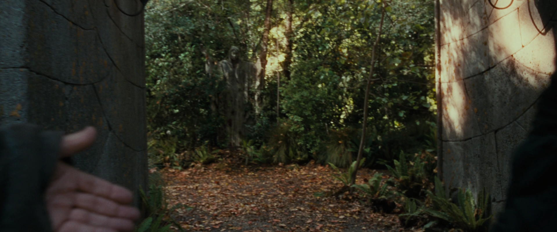 The Lord of the Rings: The Fellowship of the Ring (2001) movie still 12865