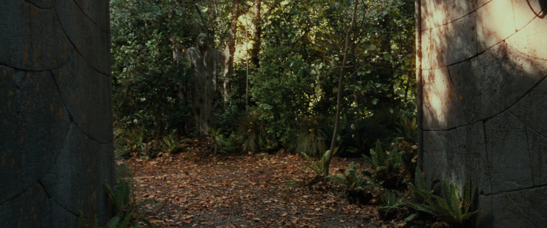 The Lord of the Rings: The Fellowship of the Ring (2001) HD screenshot 12866