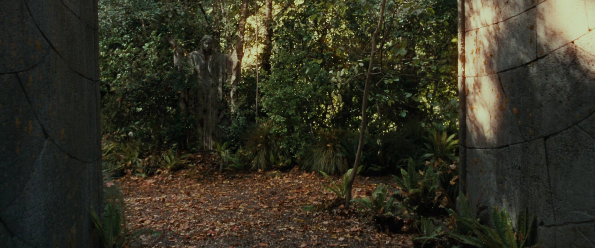 The Lord of the Rings: The Fellowship of the Ring (2001) screencap 12867
