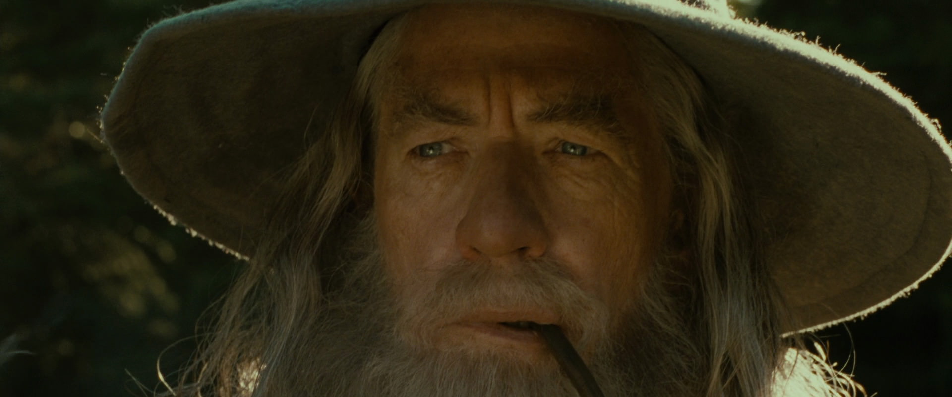 The Lord of the Rings: The Fellowship of the Ring (2001) screencap 1287