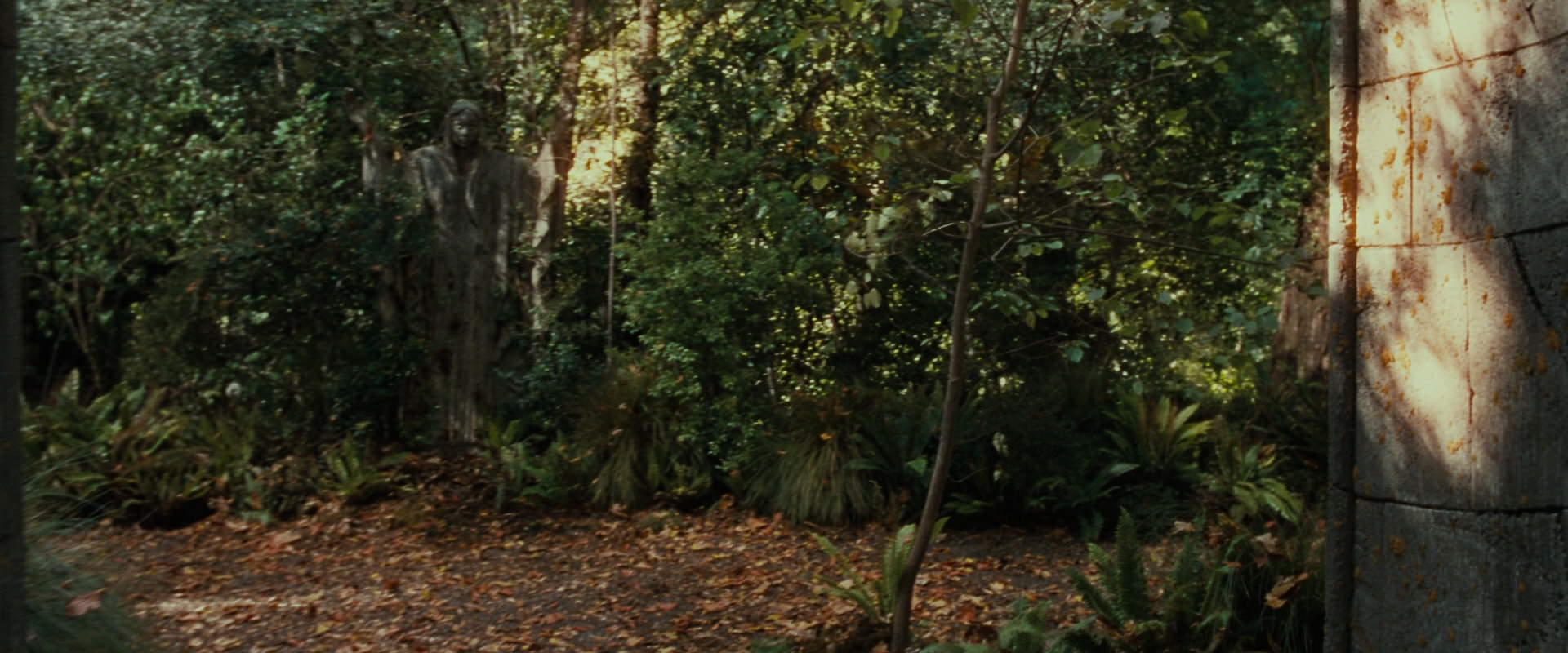 The Lord of the Rings: The Fellowship of the Ring (2001) screencap 12870