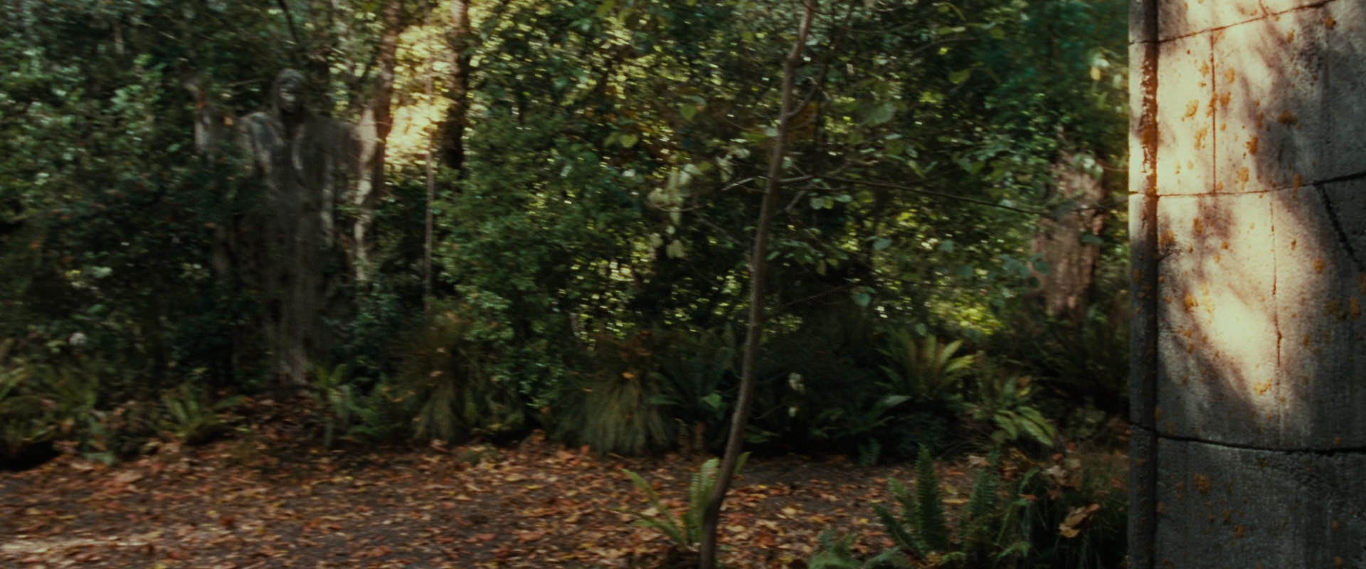 The Lord of the Rings: The Fellowship of the Ring (2001) movie still 12871
