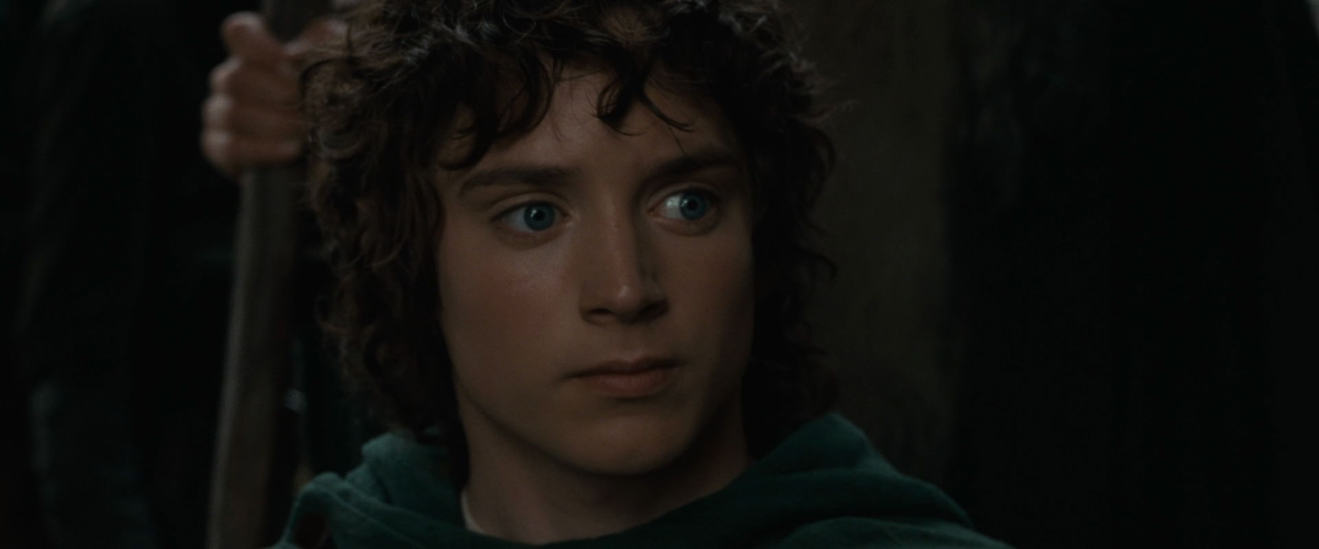 The Lord of the Rings: The Fellowship of the Ring (2001) screencap 12873