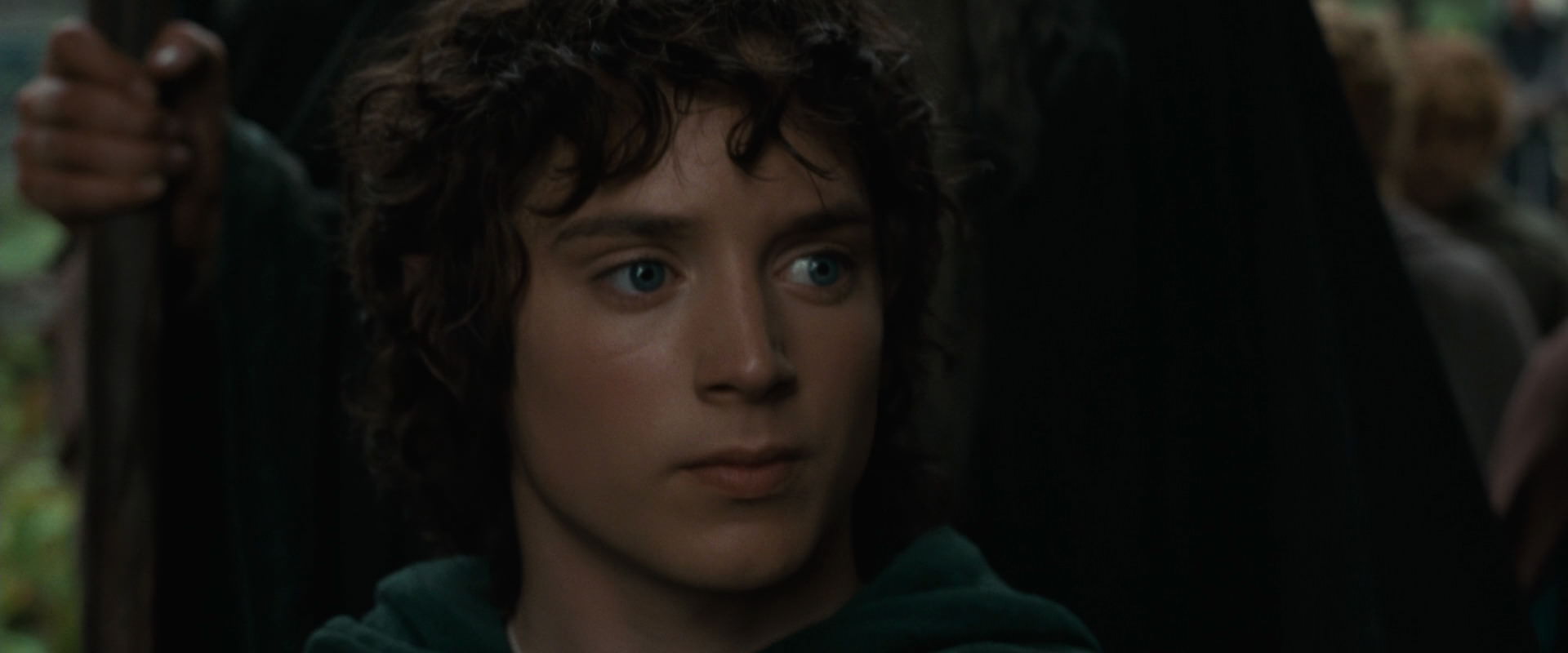 The Lord of the Rings: The Fellowship of the Ring (2001) movie still 12874
