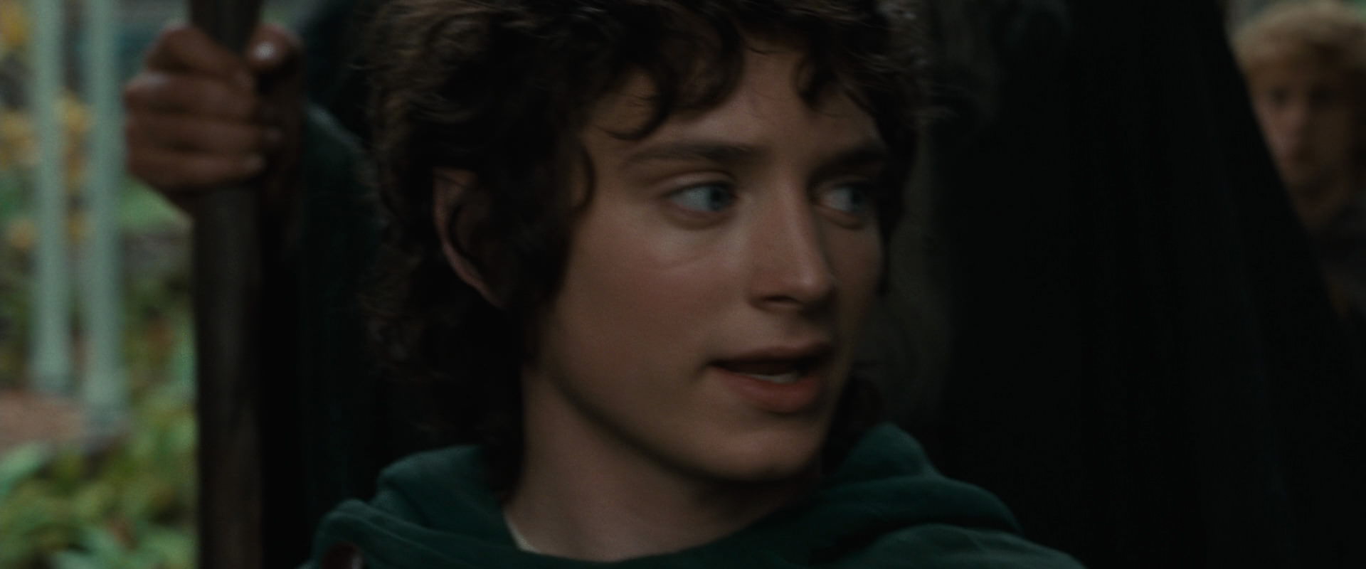 The Lord of the Rings: The Fellowship of the Ring (2001) HD screenshot 12875