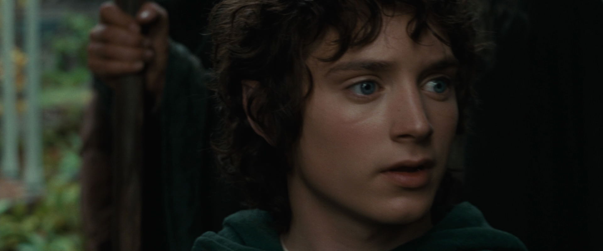 The Lord of the Rings: The Fellowship of the Ring (2001) screencap 12876