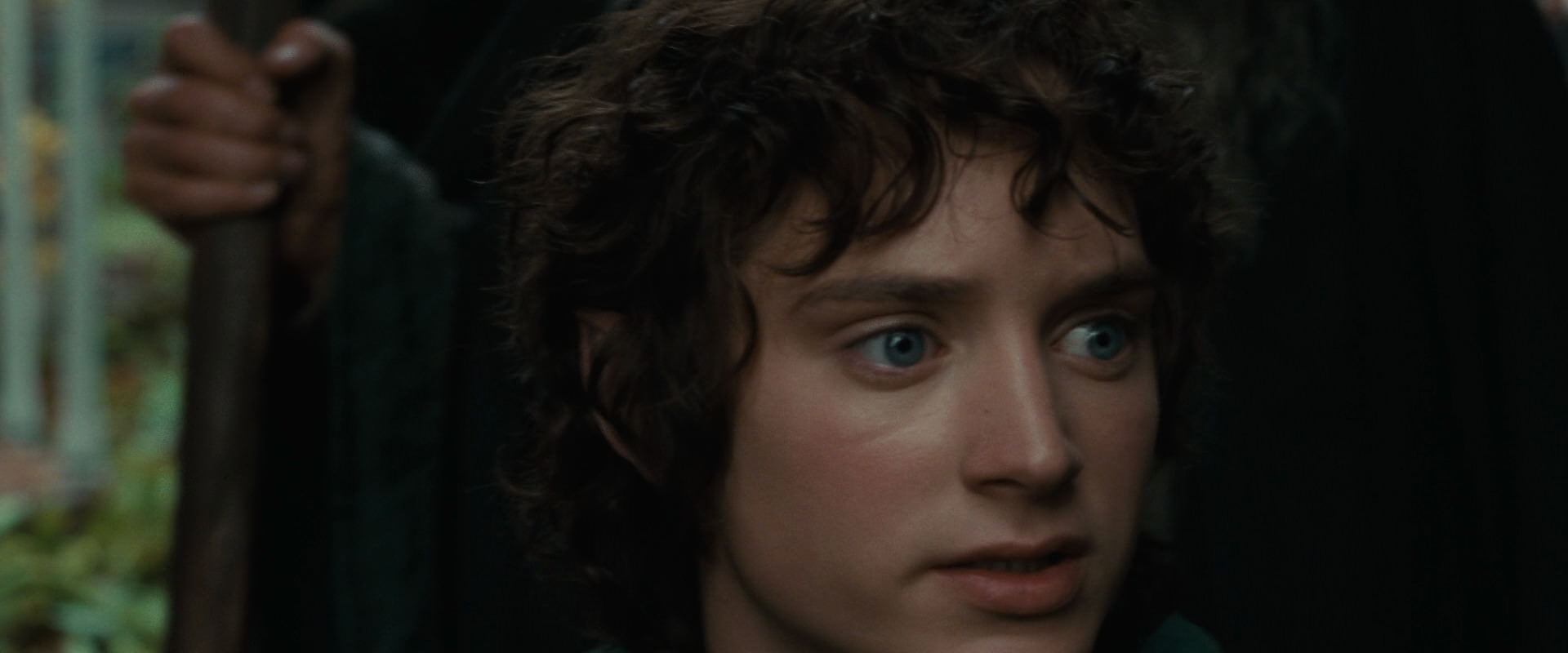 The Lord of the Rings: The Fellowship of the Ring (2001) movie still 12877
