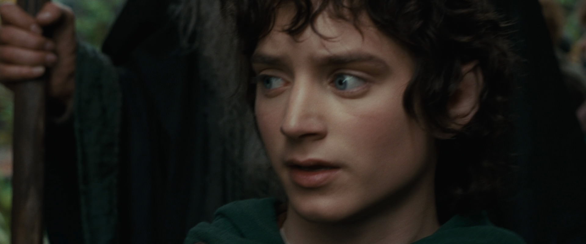 The Lord of the Rings: The Fellowship of the Ring (2001) screencap 12879