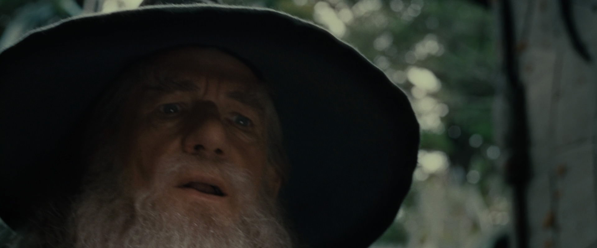The Lord of the Rings: The Fellowship of the Ring (2001) movie still 12880