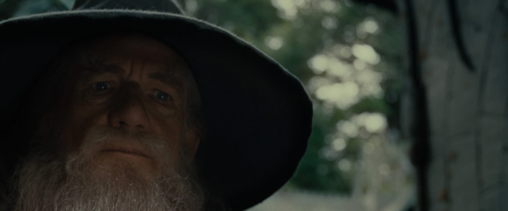 The Lord of the Rings: The Fellowship of the Ring (2001) HD screenshot 12881