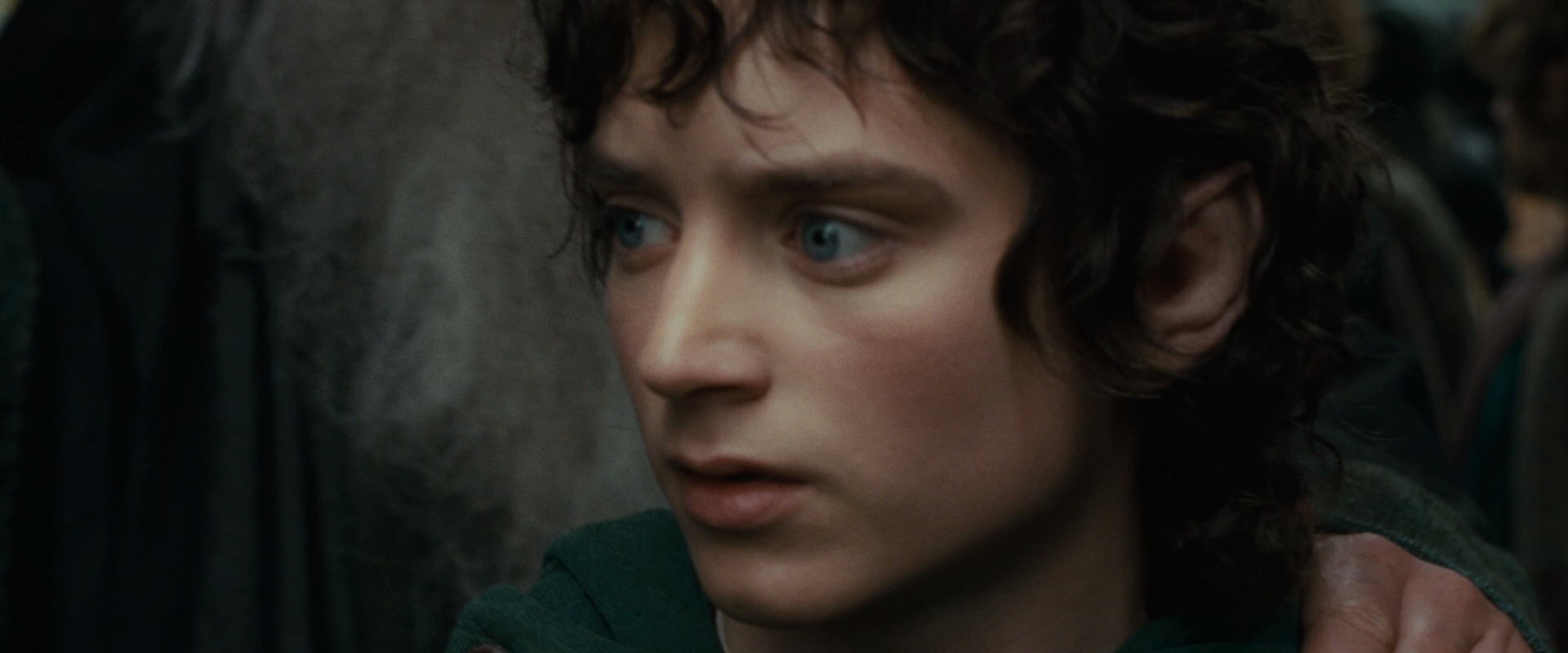 The Lord of the Rings: The Fellowship of the Ring (2001) screencap 12882