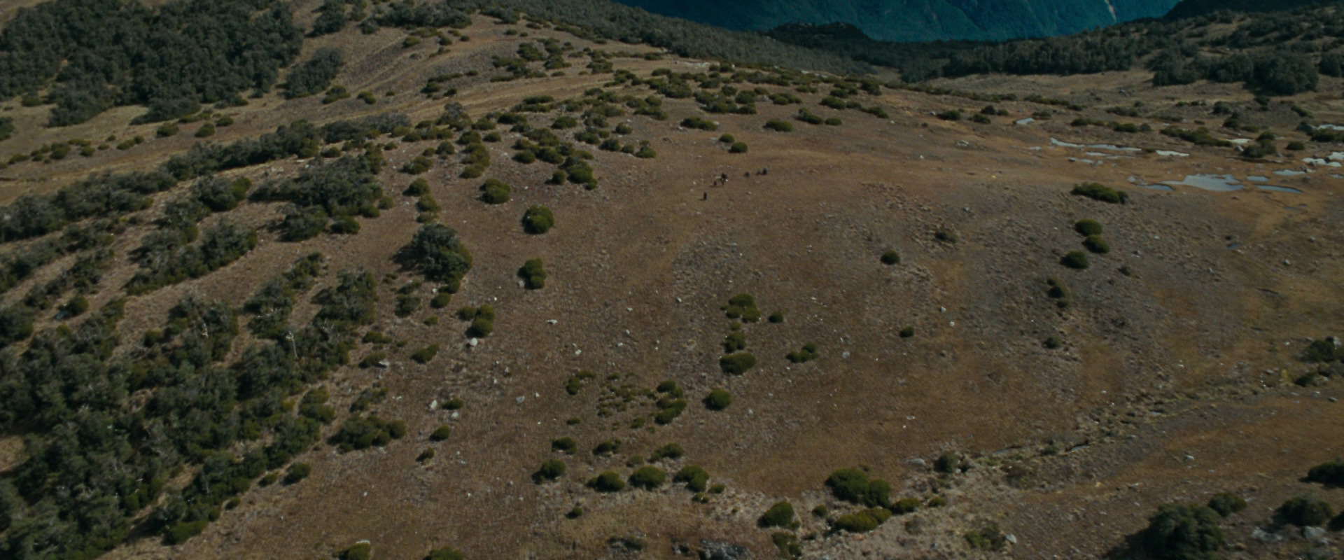 The Lord of the Rings: The Fellowship of the Ring (2001) movie still 12976