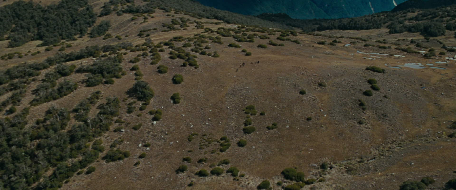The Lord of the Rings: The Fellowship of the Ring (2001) HD screenshot 12977