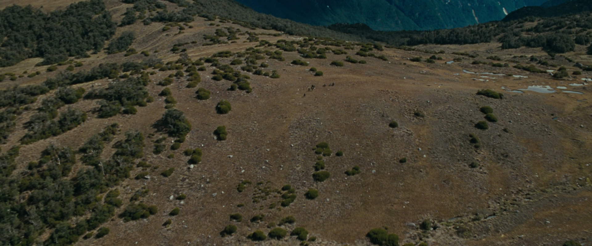 The Lord of the Rings: The Fellowship of the Ring (2001) screencap 12978