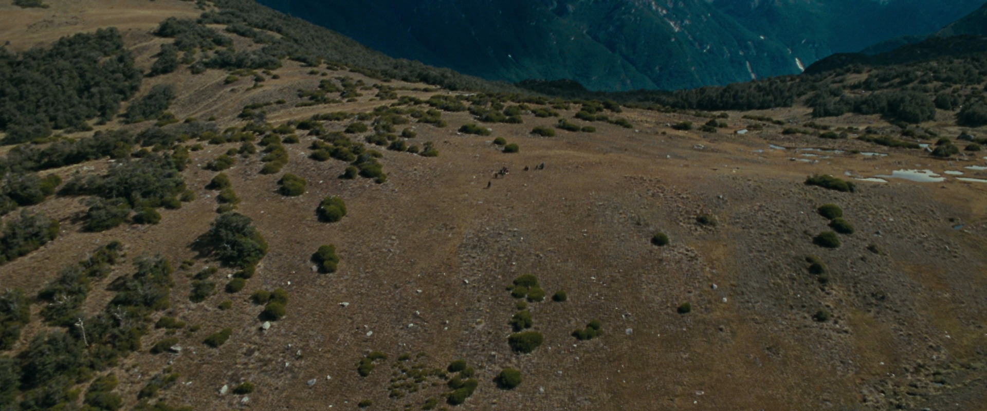 The Lord of the Rings: The Fellowship of the Ring (2001) screencap 12981