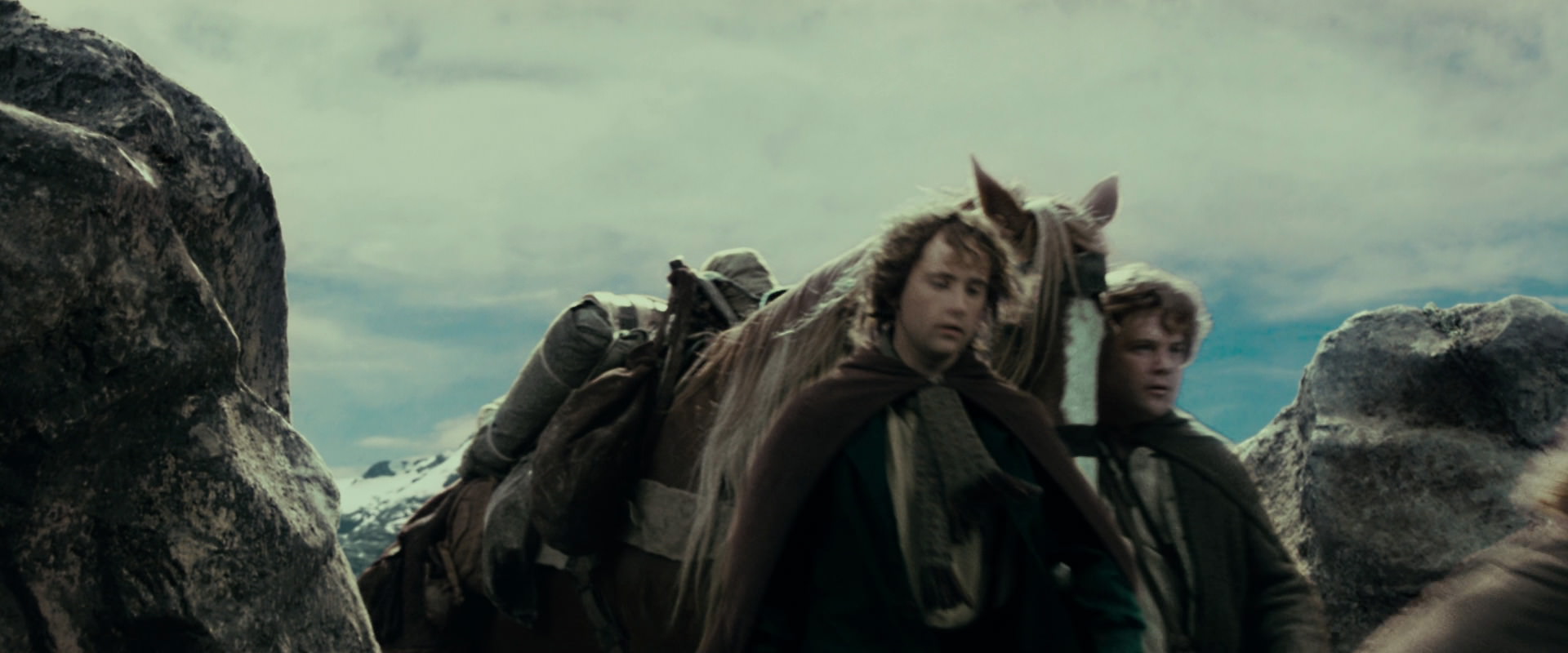 The Lord of the Rings: The Fellowship of the Ring (2001) screencap 13014