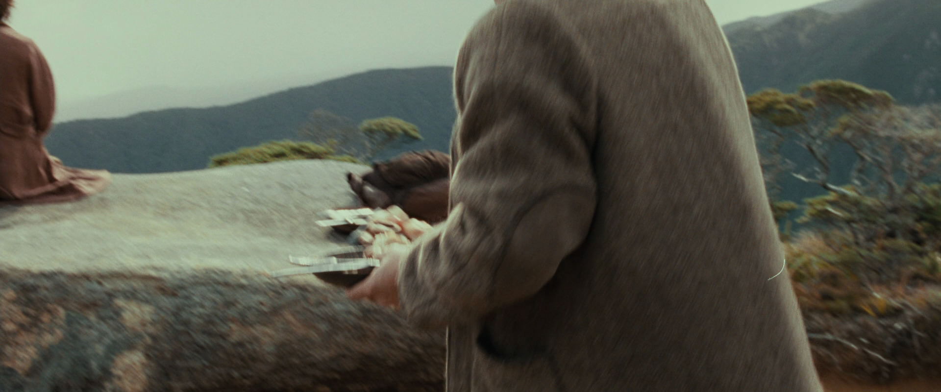 The Lord of the Rings: The Fellowship of the Ring (2001) movie still 13066