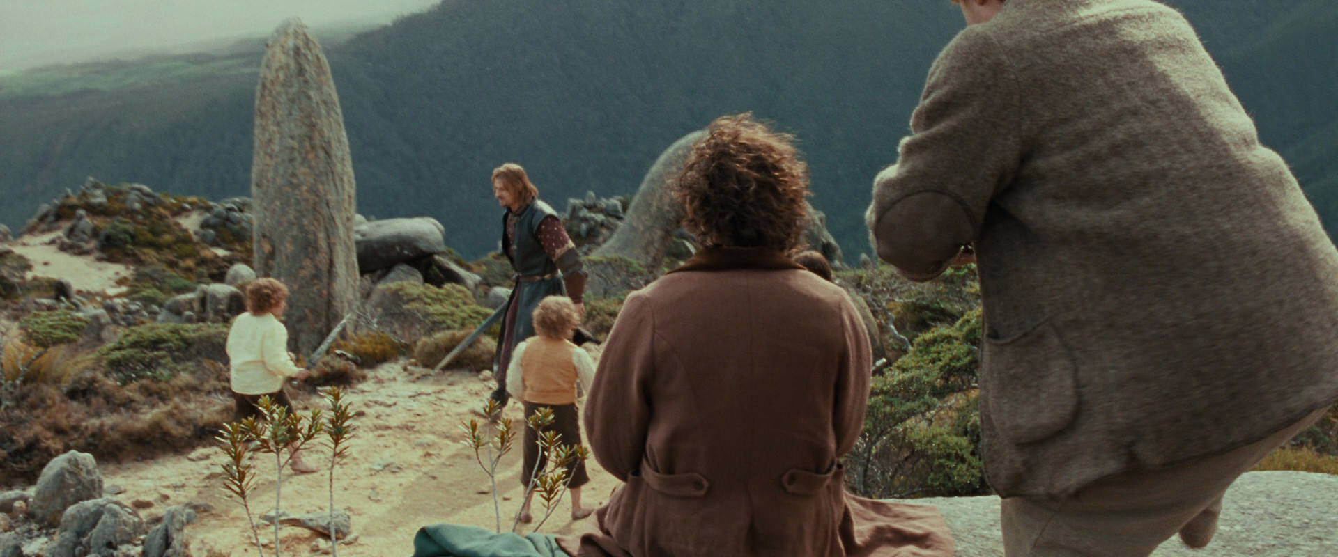 The Lord of the Rings: The Fellowship of the Ring (2001) movie still 13072