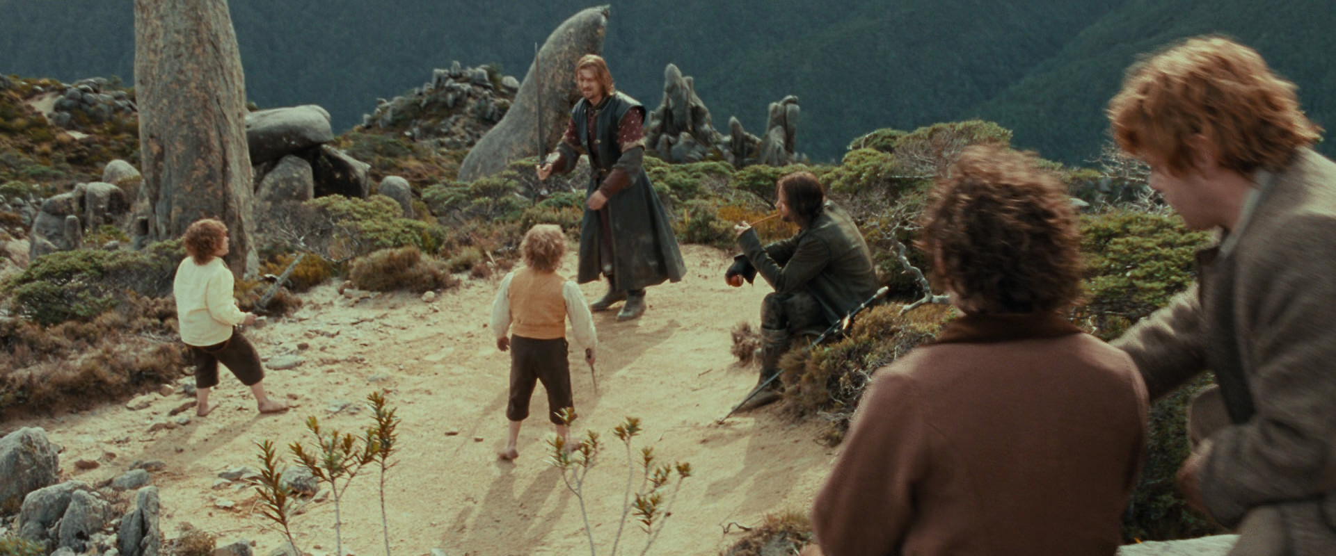 The Lord of the Rings: The Fellowship of the Ring (2001) screencap 13074