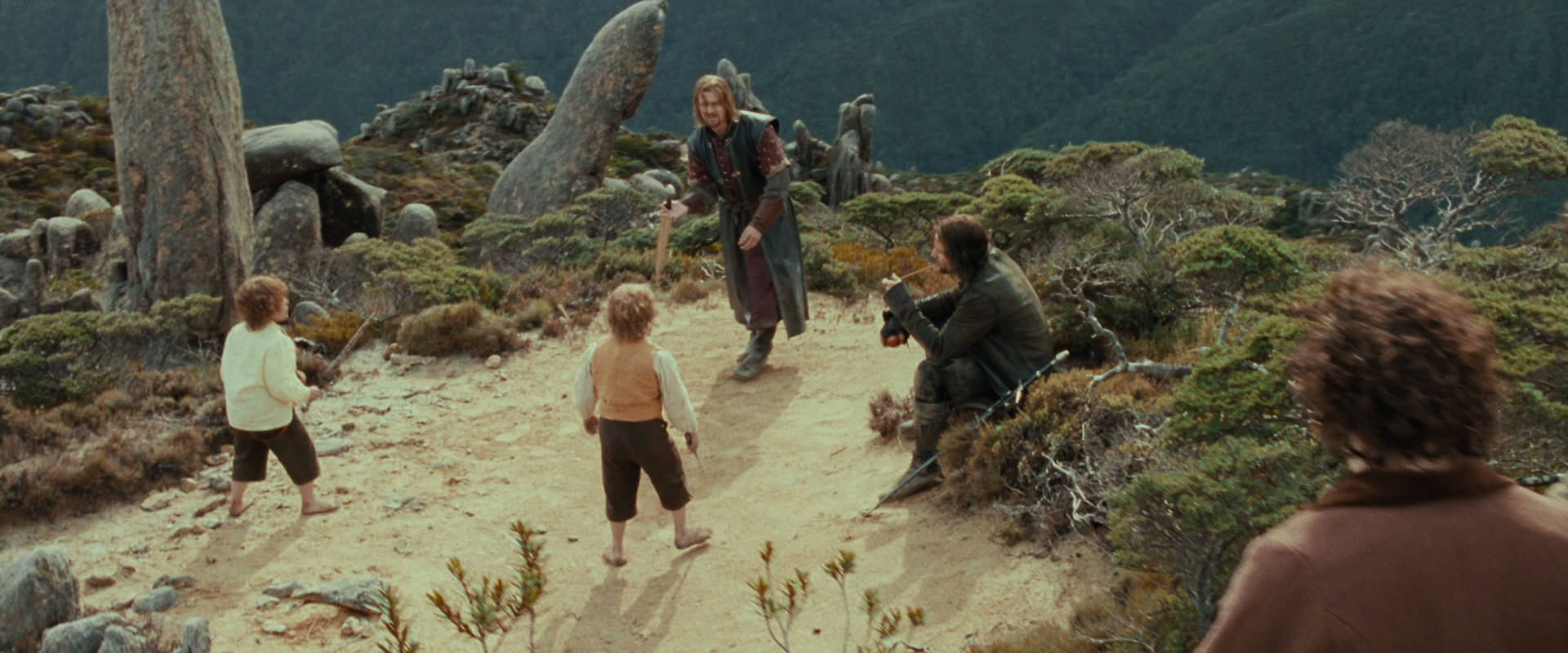 The Lord of the Rings: The Fellowship of the Ring (2001) movie still 13075