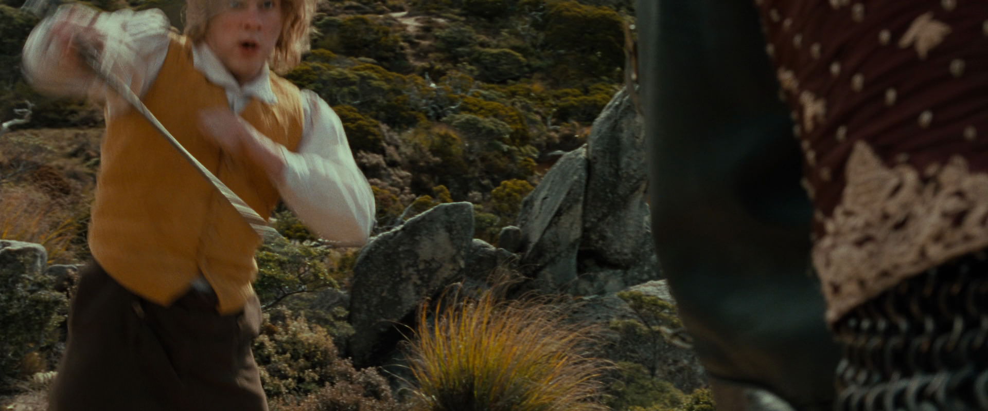 The Lord of the Rings: The Fellowship of the Ring (2001) screencap 13086