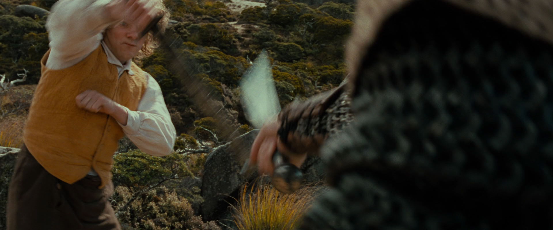 The Lord of the Rings: The Fellowship of the Ring (2001) movie still 13087