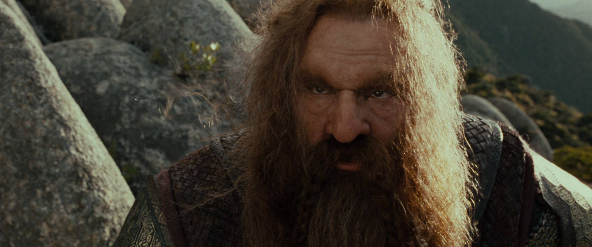The Lord of the Rings: The Fellowship of the Ring (2001) screencap 13107