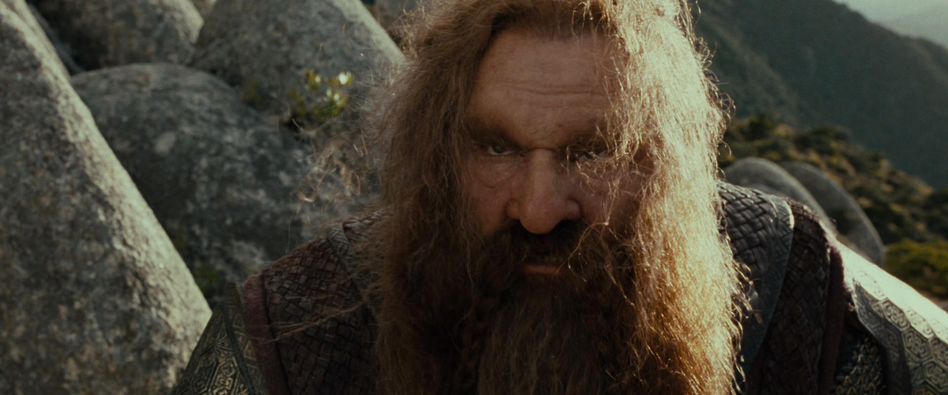 The Lord of the Rings: The Fellowship of the Ring (2001) movie still 13108