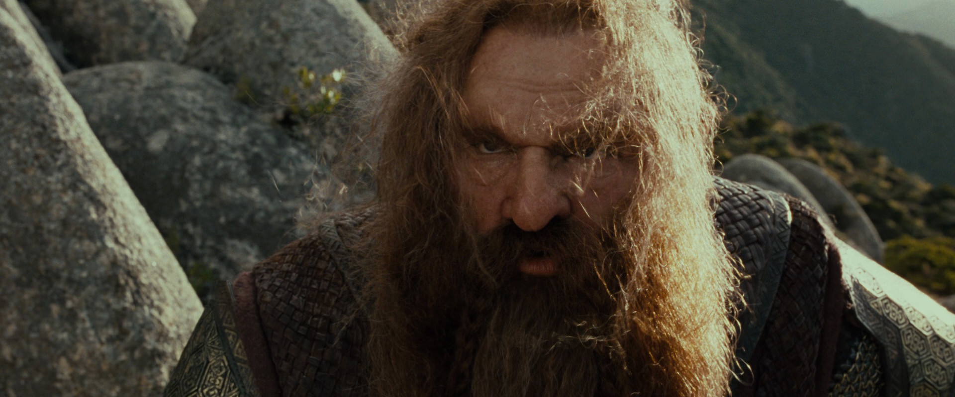 The Lord of the Rings: The Fellowship of the Ring (2001) screencap 13110