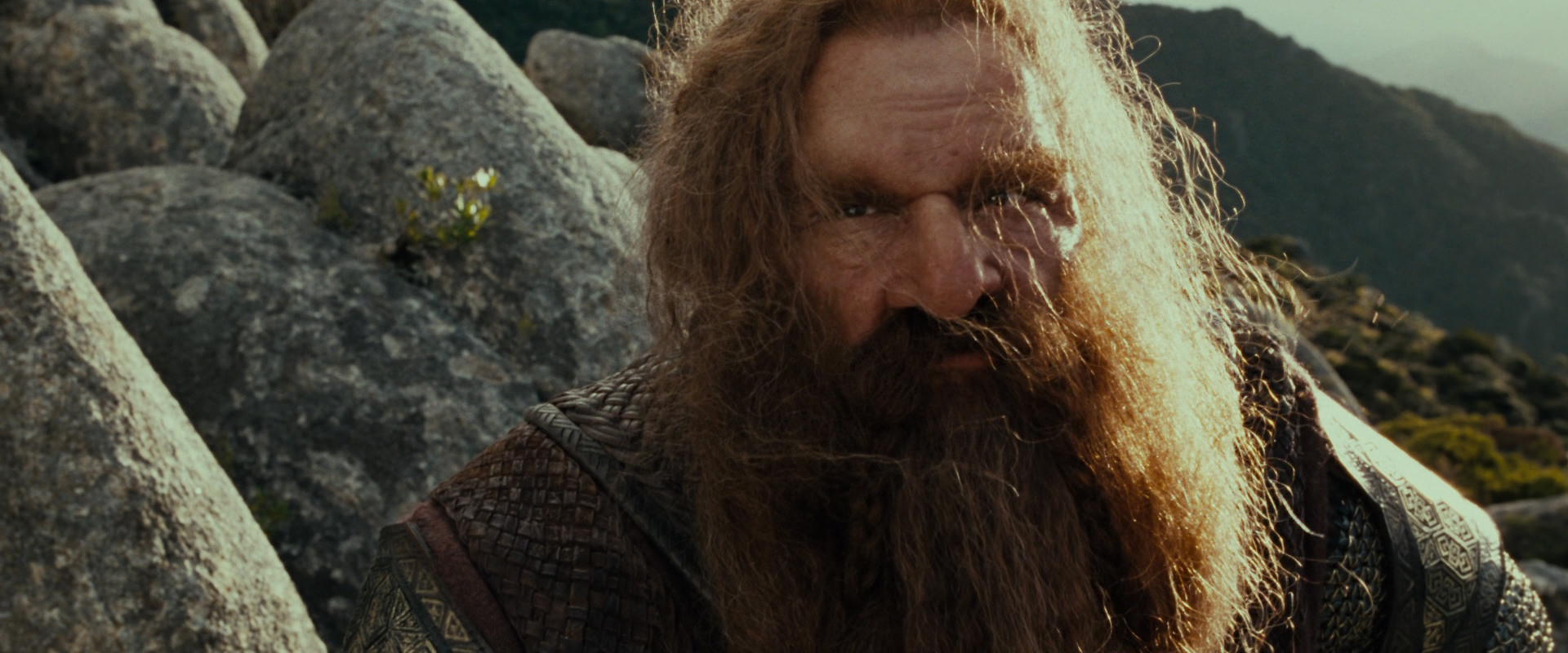 The Lord of the Rings: The Fellowship of the Ring (2001) HD screenshot 13115