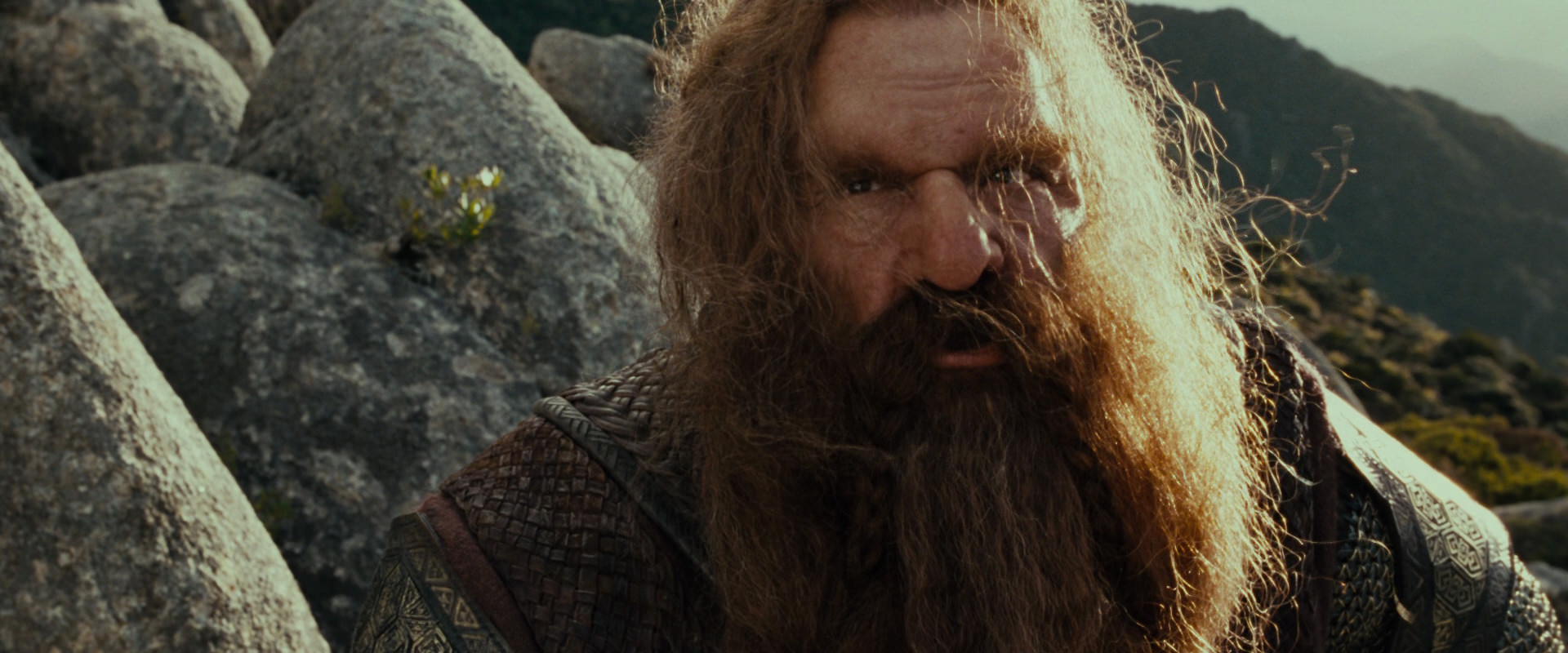 The Lord of the Rings: The Fellowship of the Ring (2001) screencap 13116