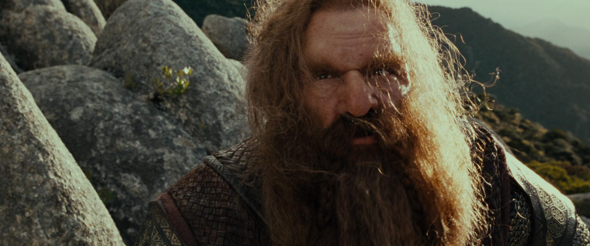 The Lord of the Rings: The Fellowship of the Ring (2001) movie still 13117