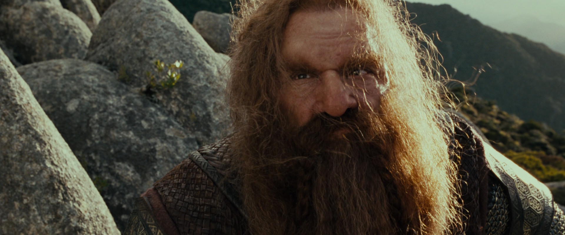 The Lord of the Rings: The Fellowship of the Ring (2001) HD screenshot 13118
