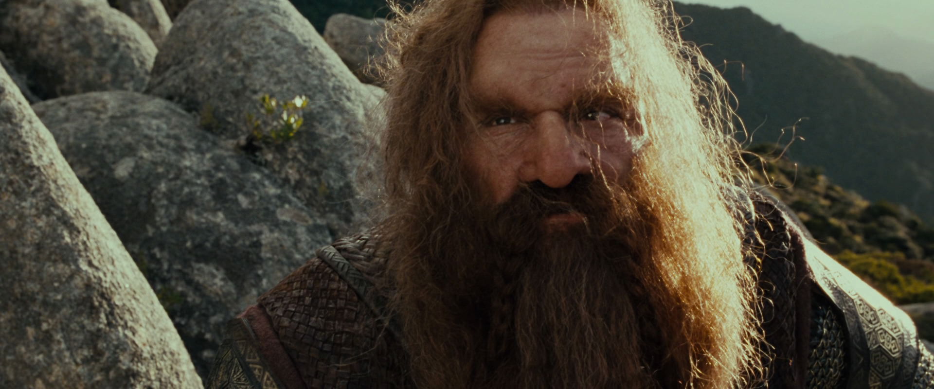 The Lord of the Rings: The Fellowship of the Ring (2001) HD screenshot 13121