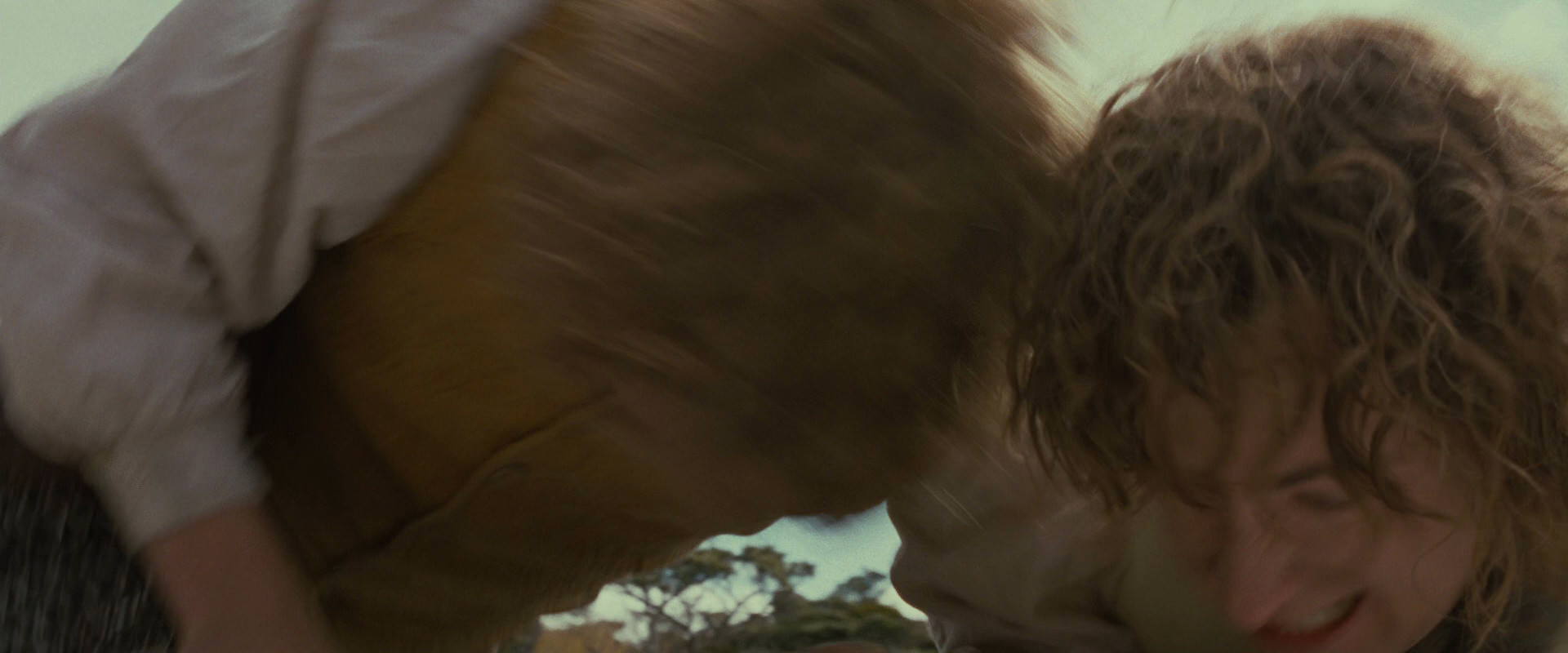 The Lord of the Rings: The Fellowship of the Ring (2001) HD screenshot 13160